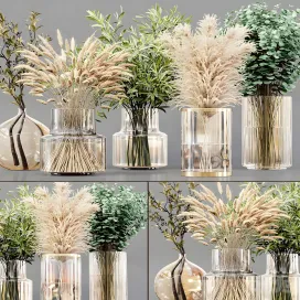 Ollection Indoor Plants